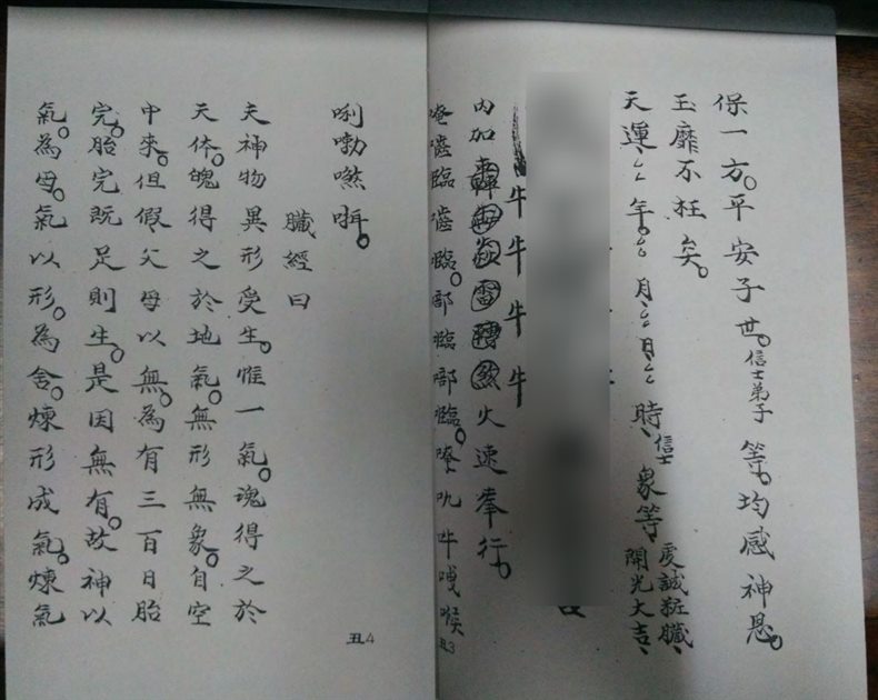 《先天十二本【丑】》免费下载网盘下载pdf下载