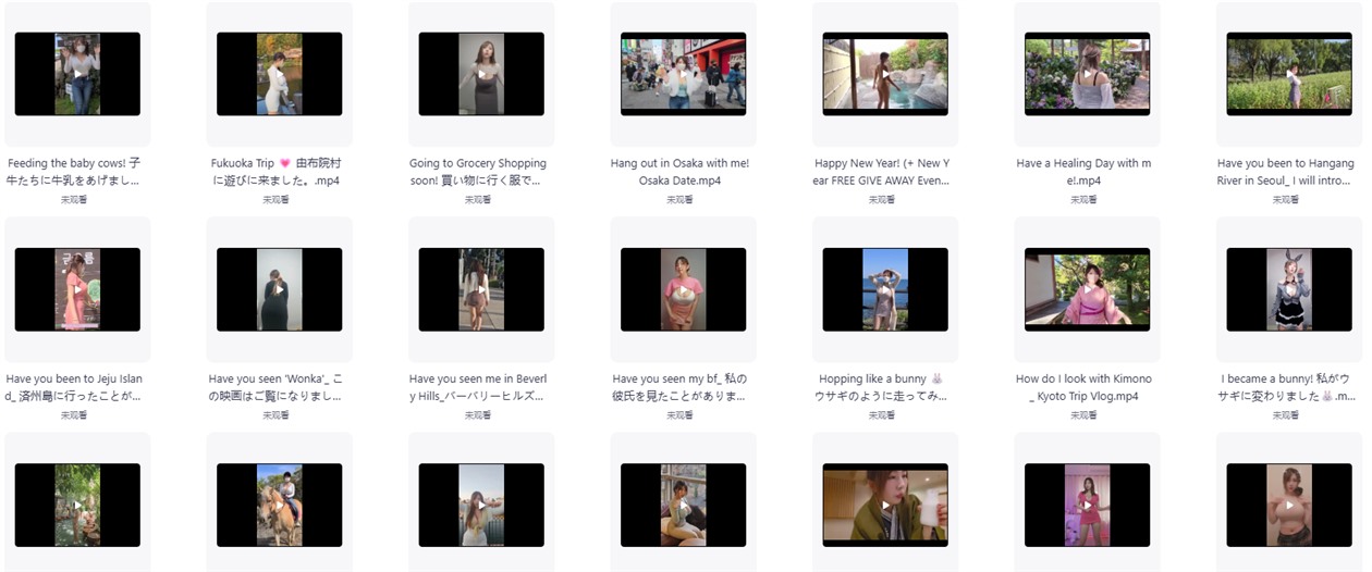 韩国丰满女神「velvettube」视频合集