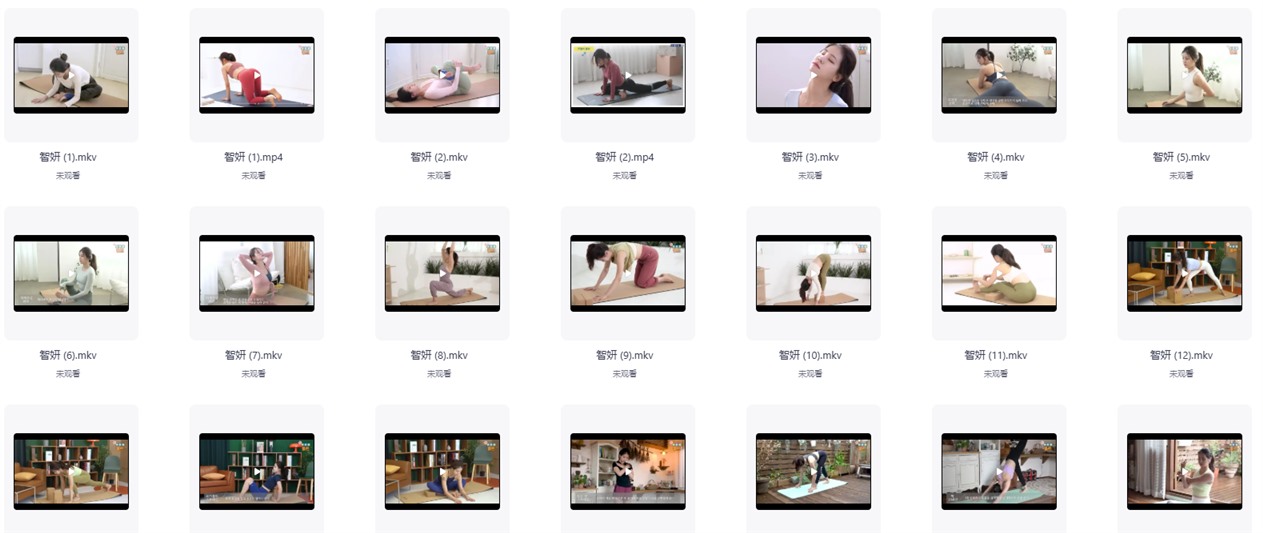 韩国瑜伽老师高清课程视频（1000+）