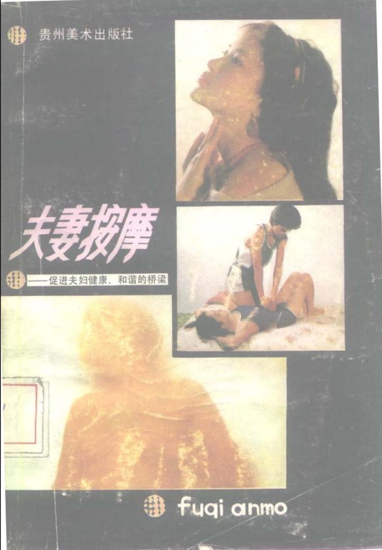 《夫妻按摩术大全》免费下载网盘下载 pdf 下载